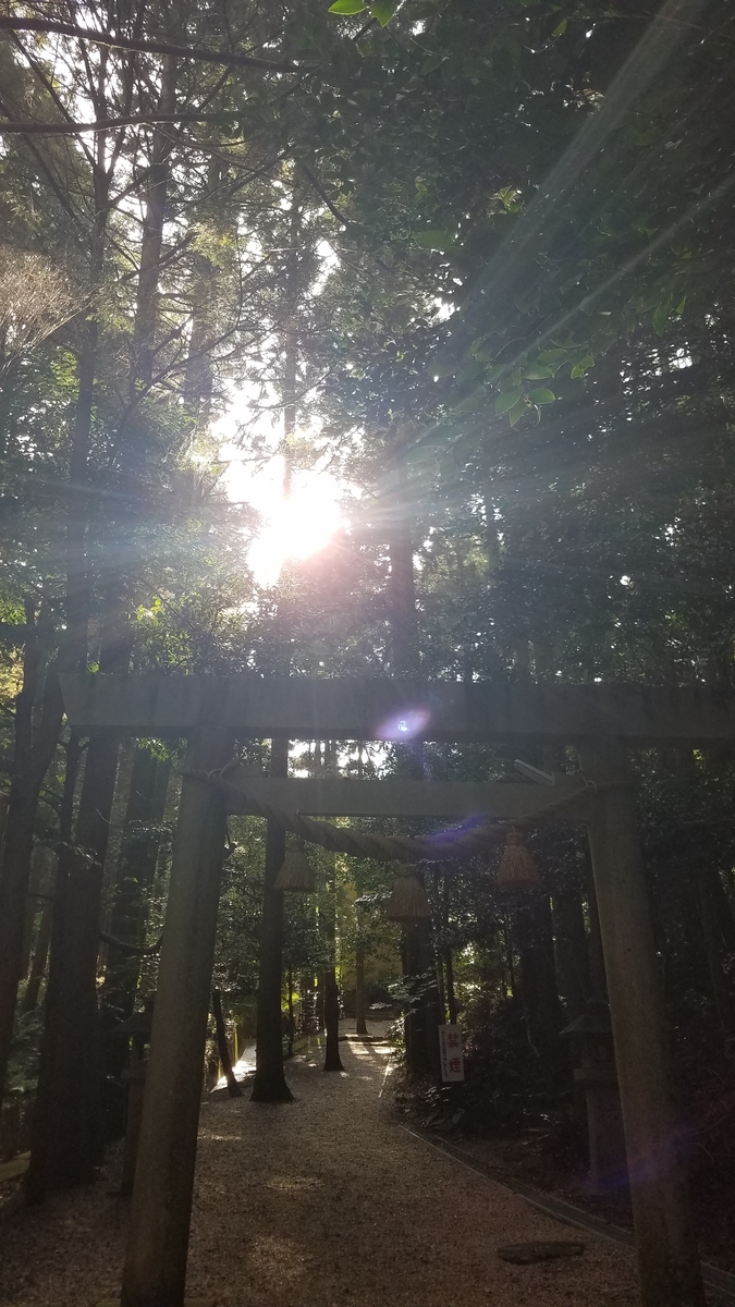 f:id:dowcorporation2009:20191111123110j:plain