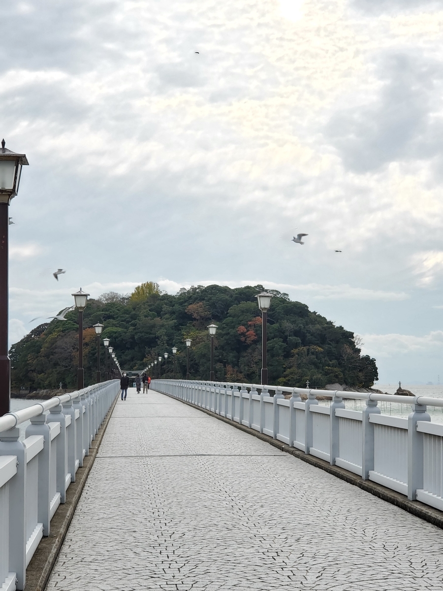 f:id:dowcorporation2009:20201130215622j:plain