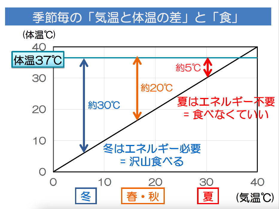 f:id:dowcorporation2009:20211021063156p:plain