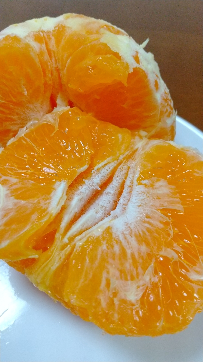 f:id:downsizer:20210110190047j:plain