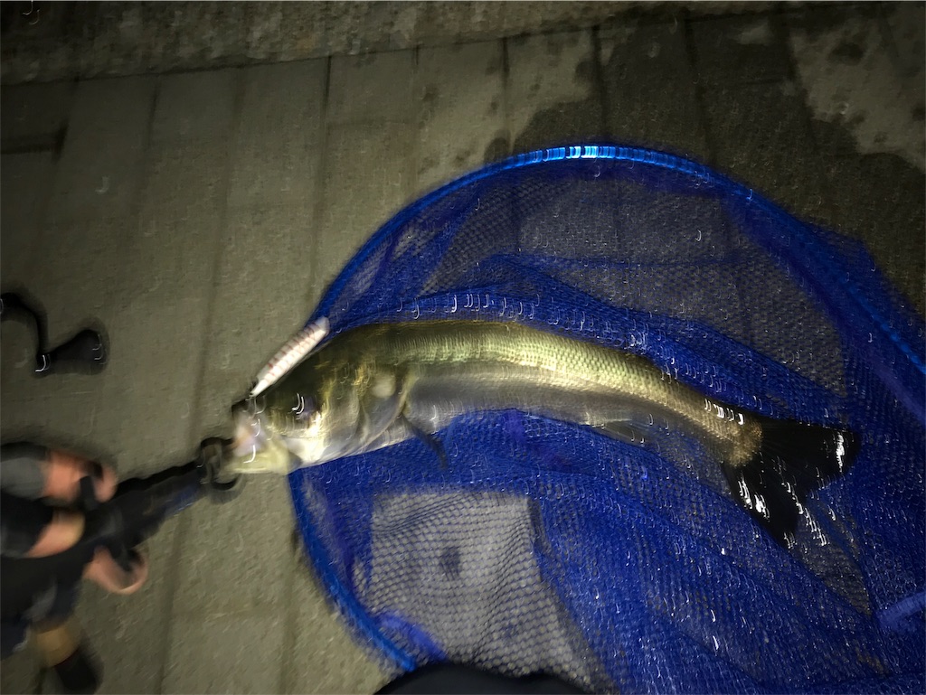 f:id:doyanishi:20180617213252j:image