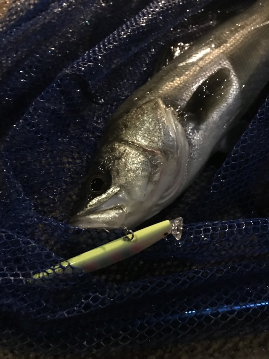 f:id:doyanishi:20190507152027j:plain f:id:doyanishi:20190507152027j:plain
