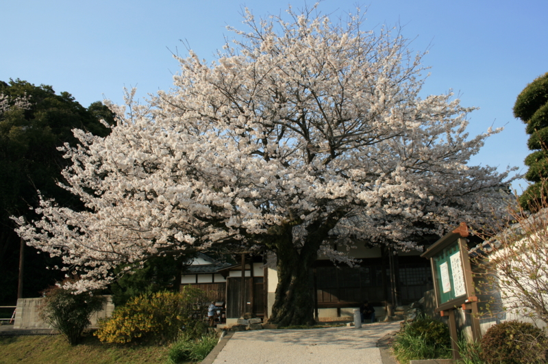 f:id:doyo3795:20120408163200j:image:w360:left
