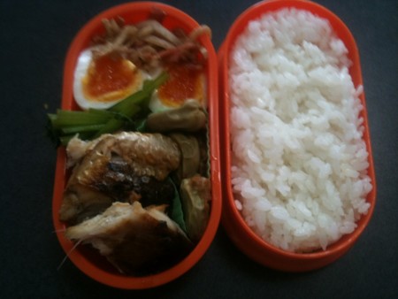 f:id:doyomeki:20100520084352j:image