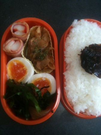 f:id:doyomeki:20100528085336j:image