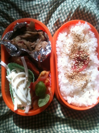 f:id:doyomeki:20100625075646j:image