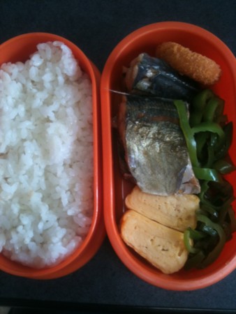 f:id:doyomeki:20110509090248j:image