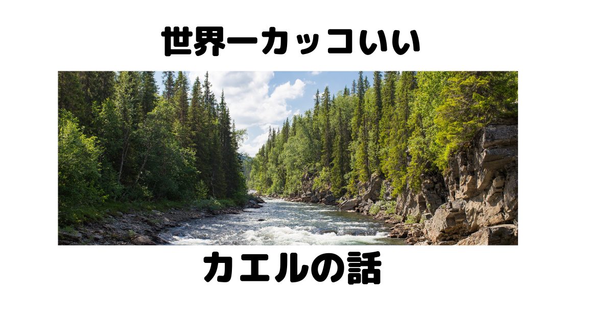世界一カッコいいカエル ドラクエ婚夫婦の日常