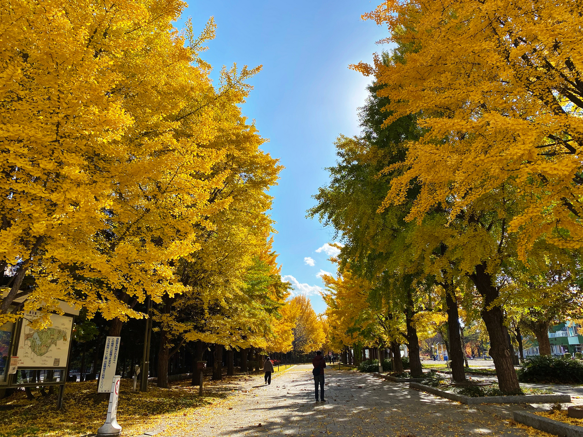 中島公園の紅葉