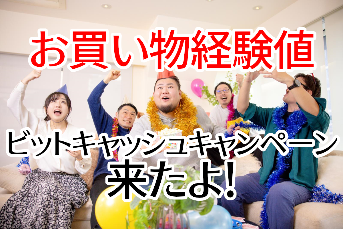 お買い物経験値ビットキャッシュキャンペーン来たよ！ - アルメモ