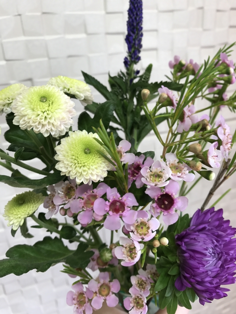 f:id:dr-barney:20170927121252j:plain