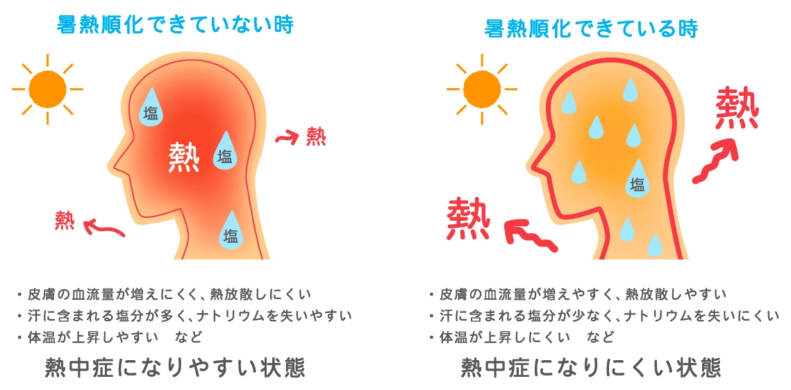 f:id:dr-tomu:20210723144605j:plain