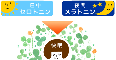f:id:dr-tomu:20210924224332j:plain