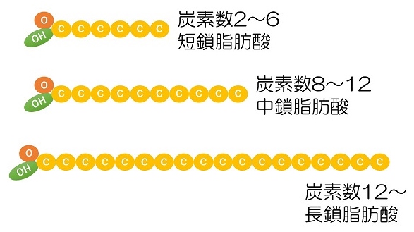 f:id:dr-tomu:20211105155128j:plain