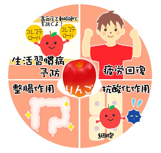 f:id:dr-tomu:20211119145026j:plain