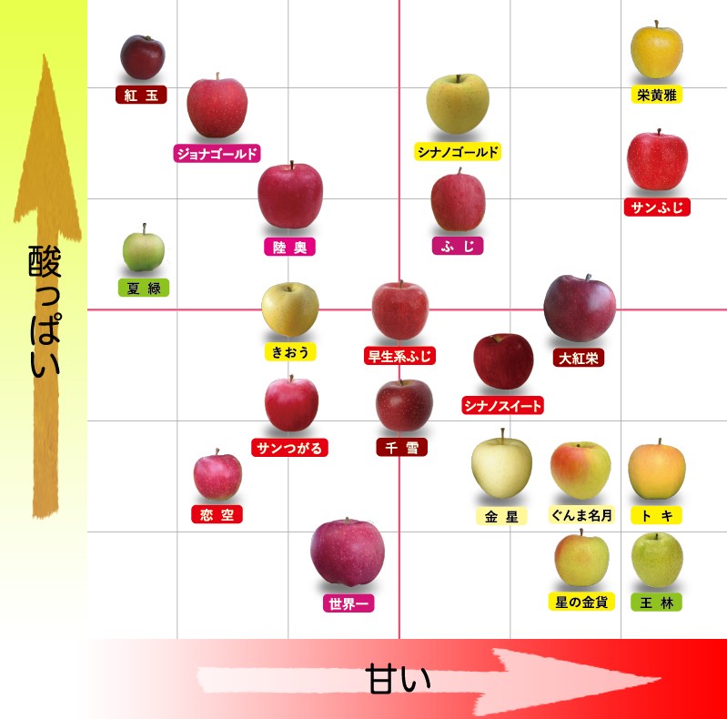 f:id:dr-tomu:20211119145345j:plain