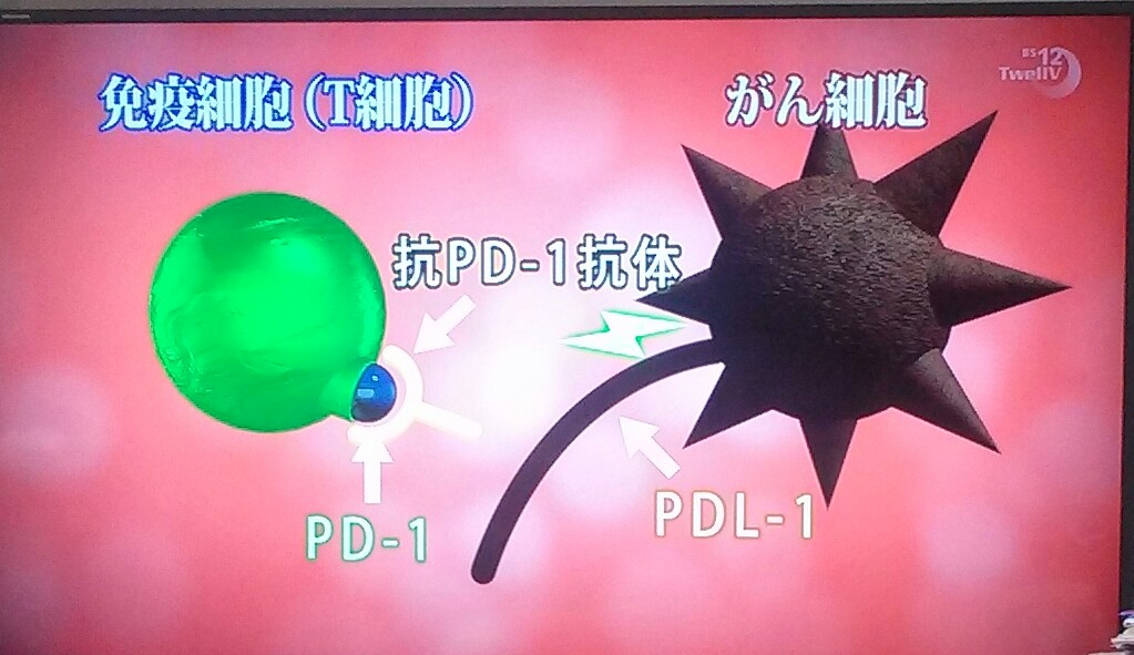 f:id:dr-yokohamaner:20181025075507j:plain f:id:dr-yokohamaner:20181025075507j:plain