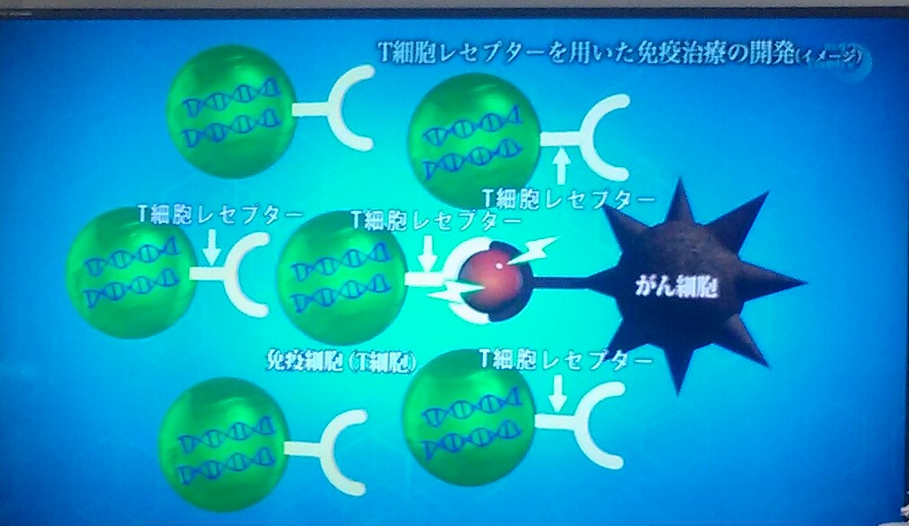 f:id:dr-yokohamaner:20181025075920j:plain f:id:dr-yokohamaner:20181025075920j:plain