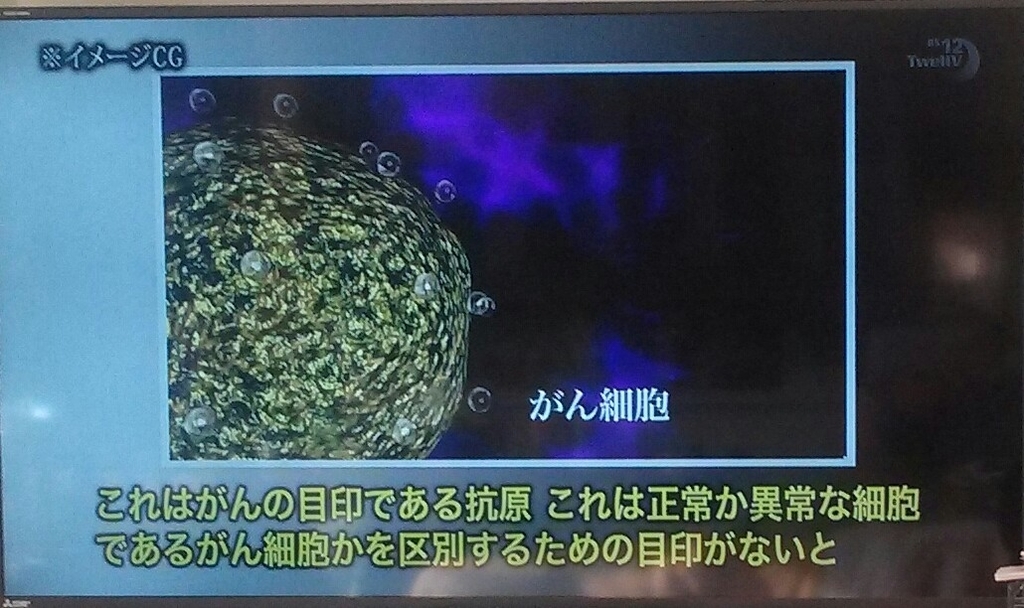 f:id:dr-yokohamaner:20181025081152j:plain f:id:dr-yokohamaner:20181025081152j:plain