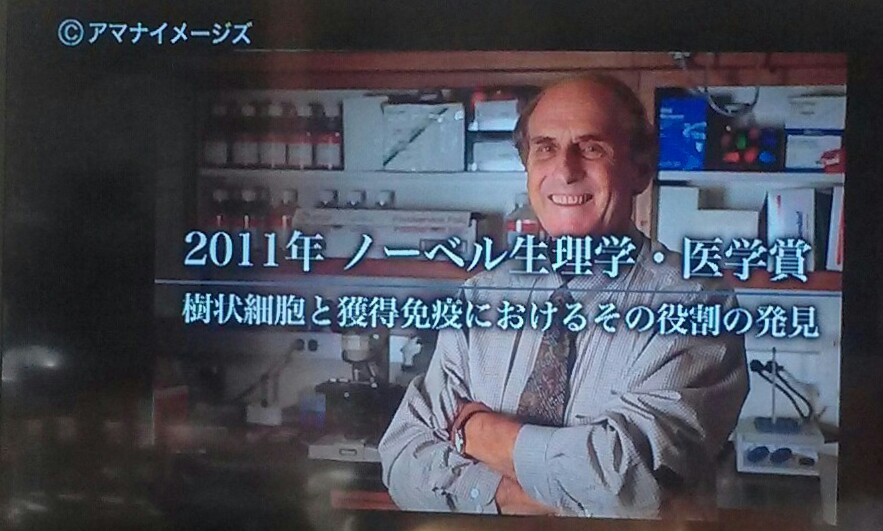 f:id:dr-yokohamaner:20181025084302j:plain f:id:dr-yokohamaner:20181025084302j:plain