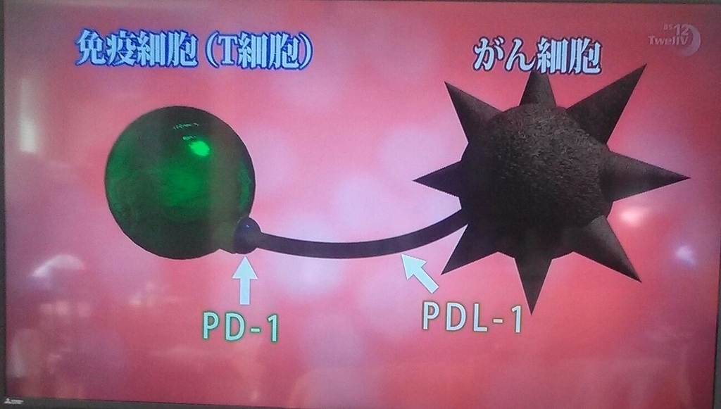 f:id:dr-yokohamaner:20181025093513j:plain f:id:dr-yokohamaner:20181025093513j:plain