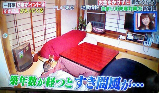 f:id:dr-yokohamaner:20200215134710j:plain f:id:dr-yokohamaner:20200215134710j:plain