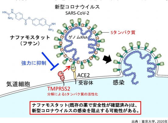 f:id:dr-yokohamaner:20200417170154j:plain