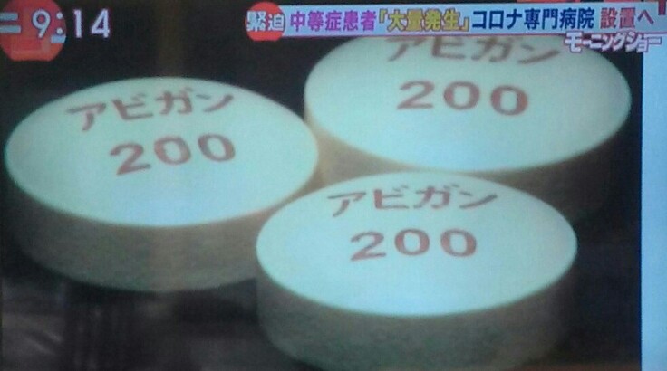 f:id:dr-yokohamaner:20200501091756j:plain