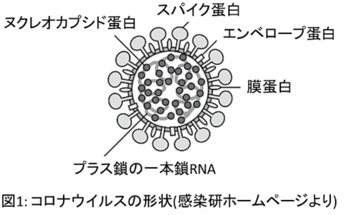 f:id:dr-yokohamaner:20200505101949j:plain