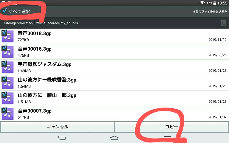 f:id:dr-yokohamaner:20200712113833j:plain