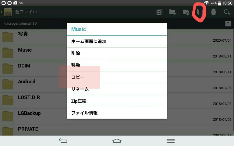 f:id:dr-yokohamaner:20200712113908j:plain
