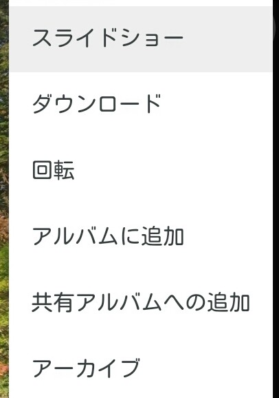 f:id:dr-yokohamaner:20200716180845j:plain