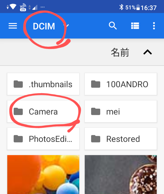 f:id:dr-yokohamaner:20200717165616p:plain