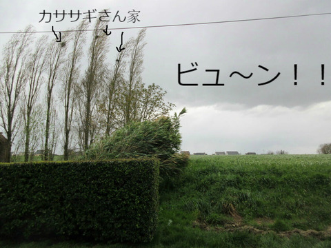 f:id:dr-yokohamaner:20210123075428j:plain