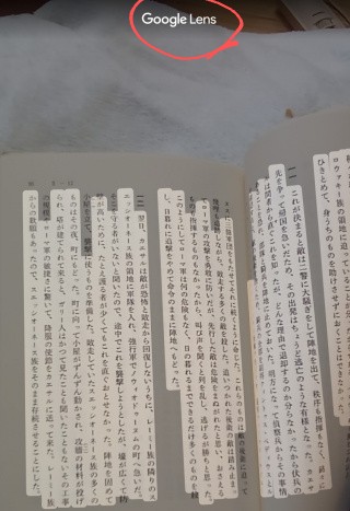 f:id:dr-yokohamaner:20220204085902j:plain