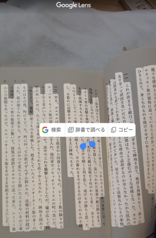 f:id:dr-yokohamaner:20220204091035j:plain