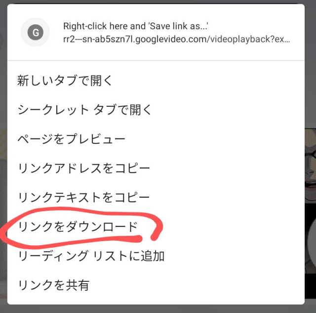 f:id:dr-yokohamaner:20220207092907j:plain