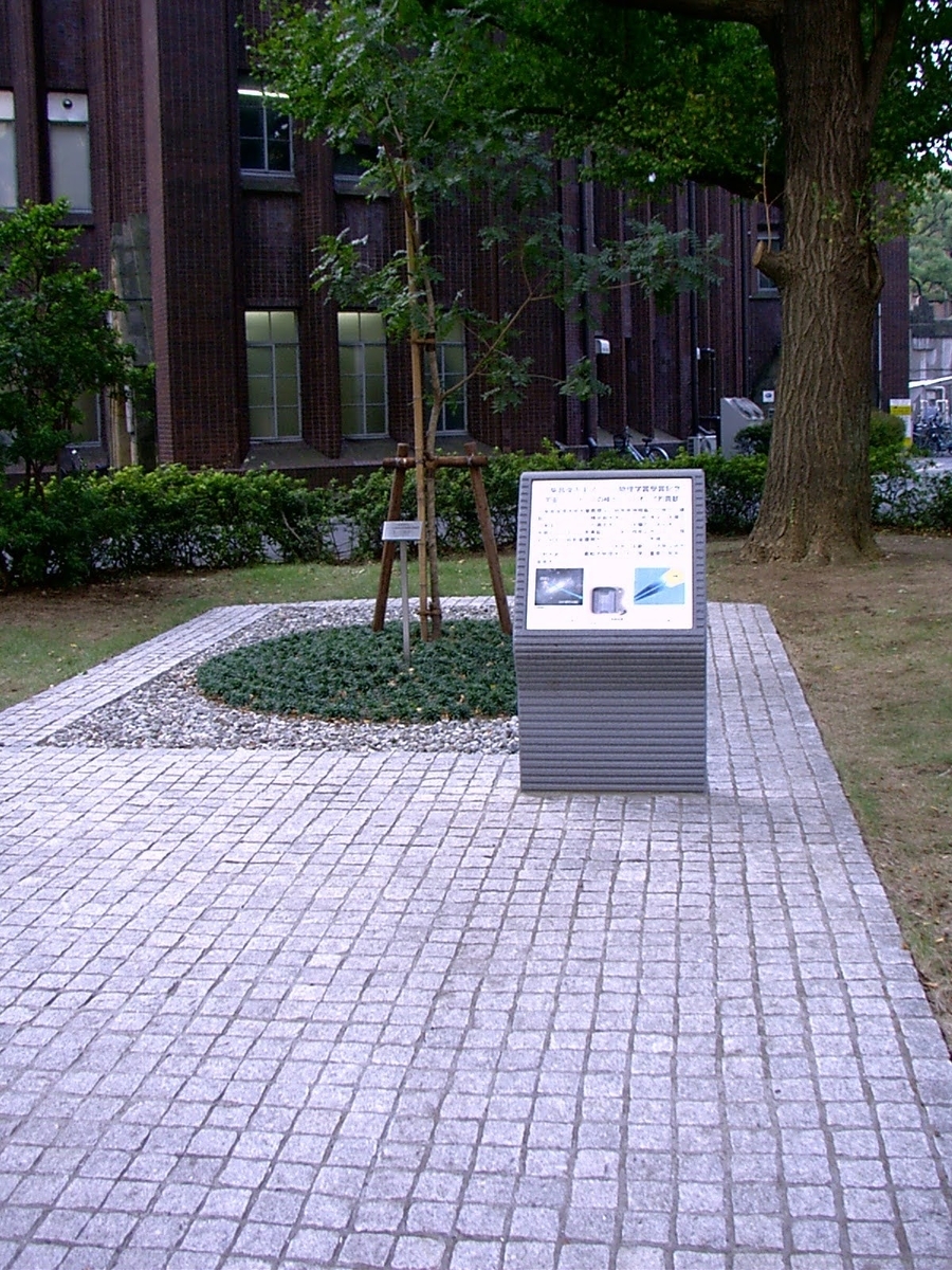 f:id:dr-yokohamaner:20220227070128j:plain