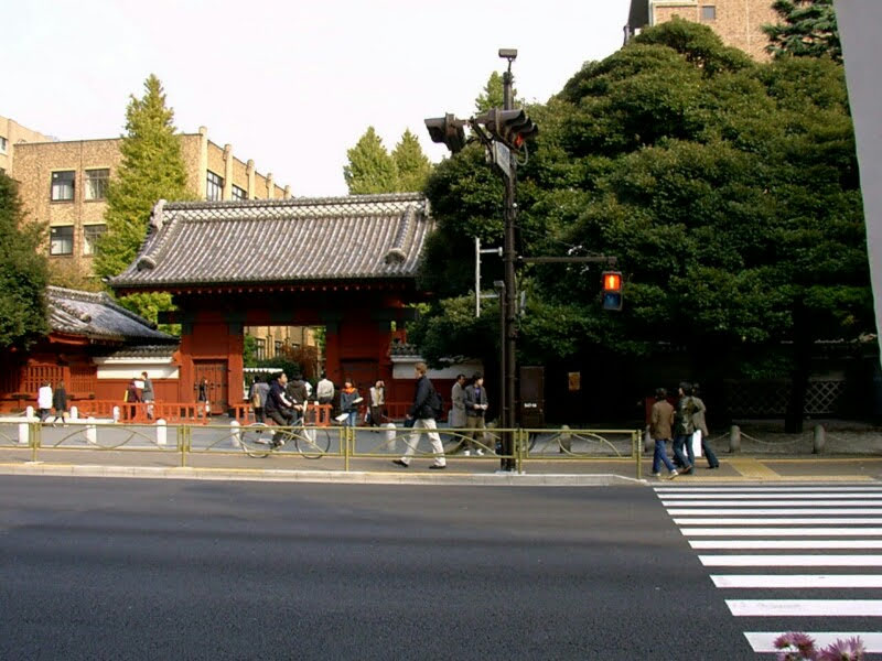 f:id:dr-yokohamaner:20220301103203j:plain