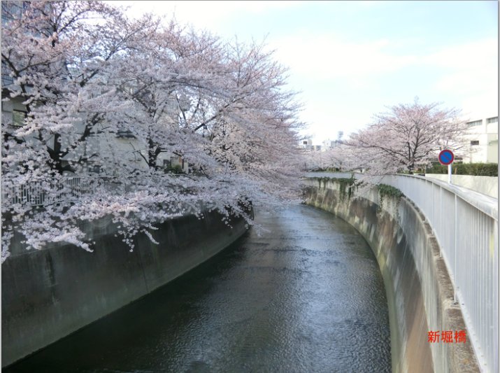 f:id:dr100:20121121070248j:image