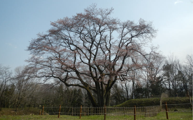 f:id:dr100:20151030064230j:image f:id:dr100:20151030064230j:image