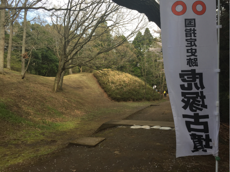 f:id:dr100:20160713065726j:image