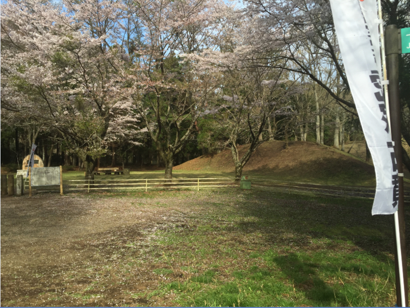 f:id:dr100:20160713065731j:image