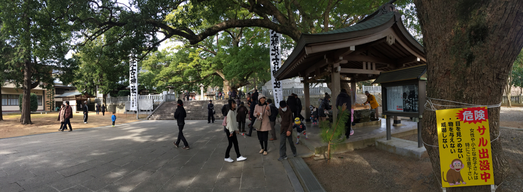 f:id:dr100:20190208095630j:plain