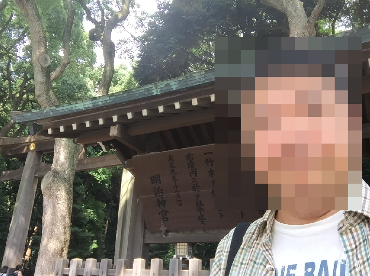 f:id:dr100:20190212230954j:plain