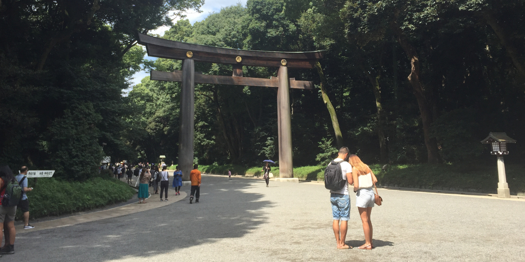 f:id:dr100:20190212231000j:plain