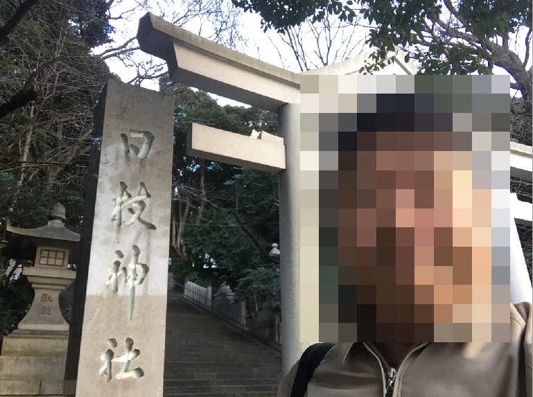 f:id:dr100:20190214141159j:plain