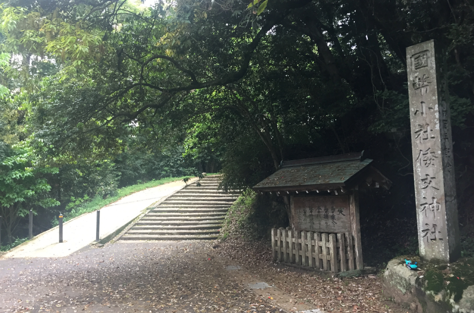 f:id:dr100:20190225081202j:plain