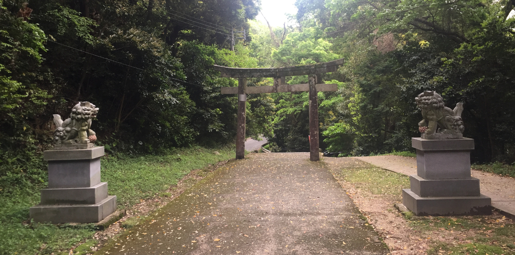 f:id:dr100:20190225081245j:plain