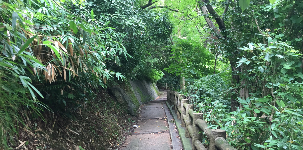 f:id:dr100:20190314075215j:plain